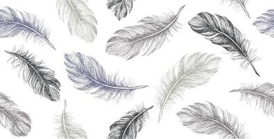 Hand drawn feather on white background. vector