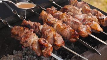 Man adds sauce to the grilled meat. Grilled meat. Ready barbecue on the grill. Grilled pork video