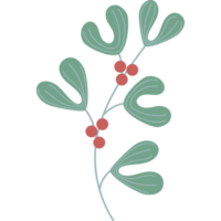 Beautiful branch of mistletoe with berries and leaves png