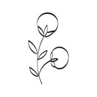 Floral Art.  flower drawing with line-art. vector