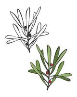 Doodle twigs with berries. Cranberry. Outline and color design element. Isolated, white background. vector