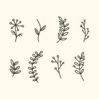 Set of Botanical Leaves vector