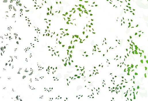 Light Green vector backdrop with abstract shapes.