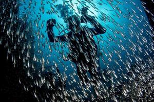 Scuba Diver dentro de peces de vidrio bola de cebo gigante foto