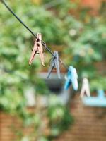 clothesline with clothespins on backyard photo