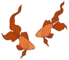 Goldfish illustration. Sea inhabitants fish icons. Two orange fish on a white background. vector