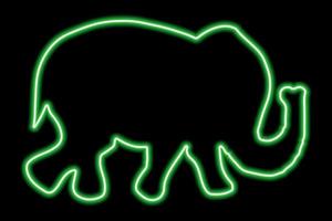 Green neon force of walking elephant on a black background vector