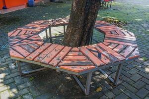 circular seating design under a tree in the park photo