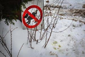 un cartel rojo redondo que prohíbe caminar perros en el área cercana al edificio con marcas amarillas en la nieve foto