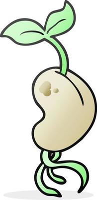freehand drawn cartoon sprouting seed