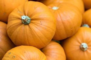 frutas y verduras bio calabaza foto