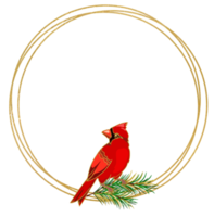 marco redondo dorado con cardenal rojo, ilustración navideña png