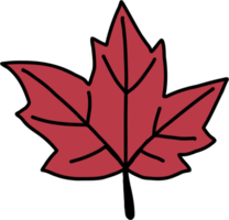 simplicity maple leaf freehand drawing flat design. png