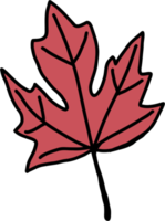 simplicity maple leaf freehand drawing flat design. png