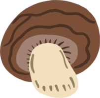 doodle freehand sketch drawing of mushroom vegetable. png