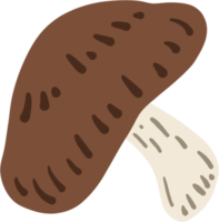 doodle uit de vrije hand schets tekening van shitake paddestoel groente. png