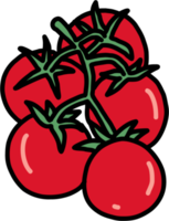 dibujo a mano alzada del esquema del garabato de la verdura del tomate. png