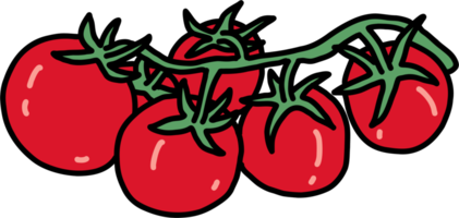 doodle contour croquis à main levée dessin de légume tomate. png