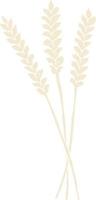flat color illustration of wheat vector