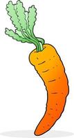 freehand drawn cartoon carrot vector