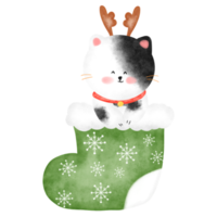 lindo gato en calcetín de navidad png