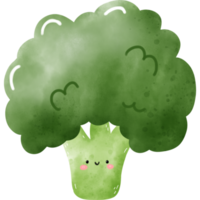 aquarelle de brocoli mignon png