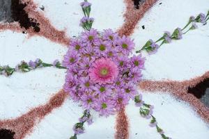 petal and flower carpet for corpus domini christi celebration photo