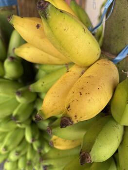 Ripe Banana on The Tree photo