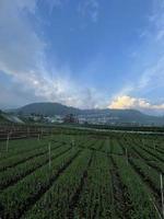 Panoramic Nature Mountain photo