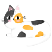 aquarela de gato engraçado png