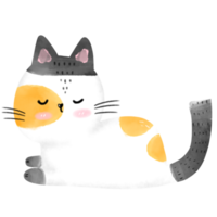 aquarela de gato engraçado png