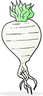 freehand drawn cartoon turnip