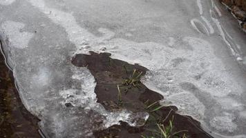 4K Time lapse Close up shot of ice melting on a puddle