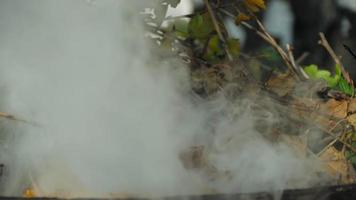 herfst schoonmaak van de tuin van droog gebladerte. droog gras en gedaald bladeren zijn brandend. rook van brandend bladeren in herfst video