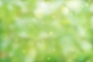 blurry green tree for text input make a background image photo