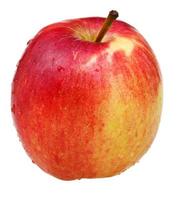 wealthy apple isolated photo