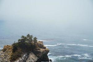 Pacific ocean beach bay with trees photo