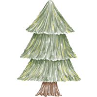 Christmas tree illustration Designed with watercolor graphics techniques. transparent background Suitable for Christmas theme decorations, digital printing, bag design, gifts, Christmas cards, sticker png