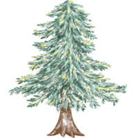 ilustración de árbol de navidad diseñada con técnicas de gráficos de acuarela. fondo transparente adecuado para decoraciones navideñas, impresión digital, diseño de bolsos, regalos, tarjetas navideñas, pegatina png