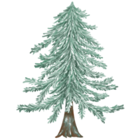 illustration d'arbre de noël conçue avec des techniques graphiques à l'aquarelle. fond transparent adapté aux décorations de thème de noël, impression numérique, conception de sac, cadeaux, cartes de noël, autocollant png