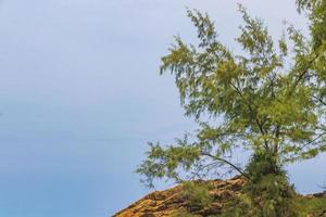 Naithon Beach bay panorama with turquoise clear water Phuket Thailand. photo