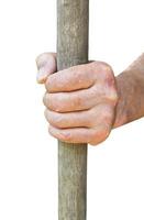 peasant hand holds old wooden stalk photo