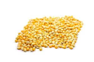 Mushroom corn kernel type used to make popcorn photo