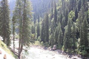 Majestic Natural Beauty of Neelum, Valley, Kashmir. Neelum Valley is famous for its natural beauty, lush green trees and clean water rivers. photo