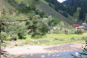 majestuosa belleza natural de neelum, valle, cachemira. El valle de Neelum es famoso por su belleza natural, frondosos árboles verdes y ríos de agua limpia. foto