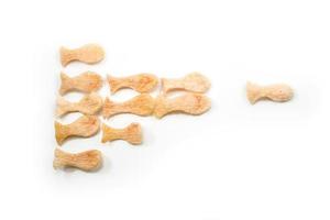 concepto de liderazgo, un cracker de pescado lidera un grupo de otros crackers de pescado foto