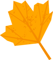 Autumn leaf. Illustration png