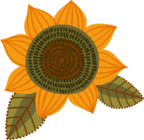 Autumn flower. Isolated illustration. png