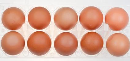 huevos de gallina en soporte foto