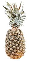 pineapple isolated on white background photo